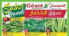 geant uae promotions new